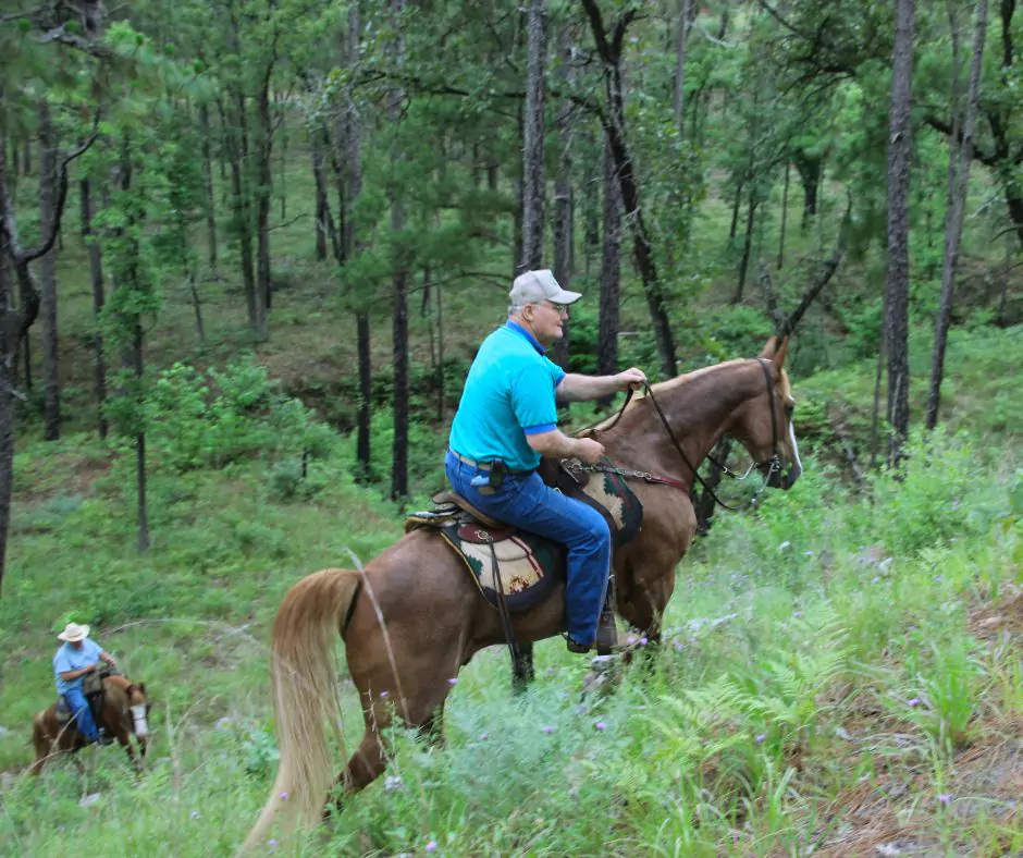 Two horseback riders traversing a steep, grassy hillside in Kisatchie National Forest, surrounded by tall pine trees and lush vegetation.
