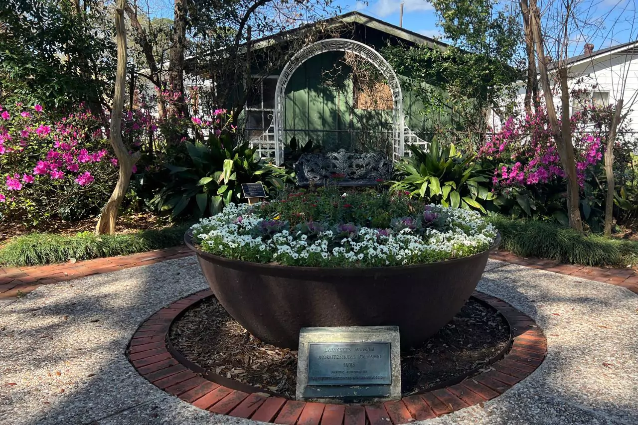 Bicentennial Garden at Lafayette Museum Circular flower bed filled with white petunias, colorful blooms, and ornamental cabbage in Lafayette Museum Bicentennial Garden, framed by pink azaleas, greenery, and a decorative white archway bench.