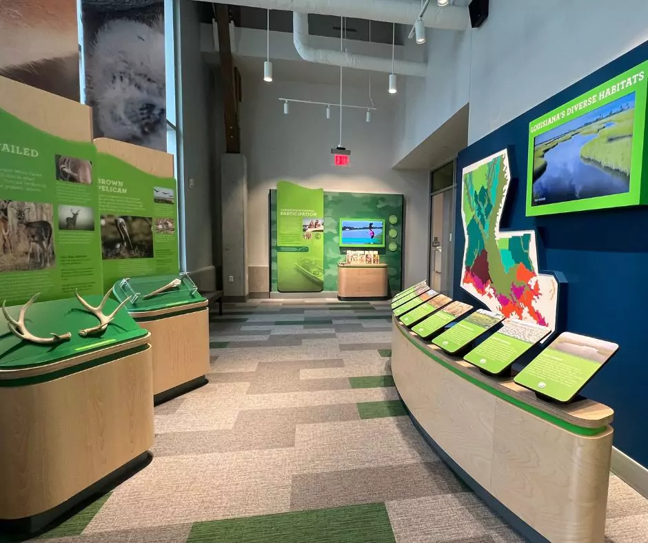 Educational hallway at Port Wonder highlighting Louisiana's habitats and wildlife, including pelican displays, antlers, and interactive ecology exhibits.