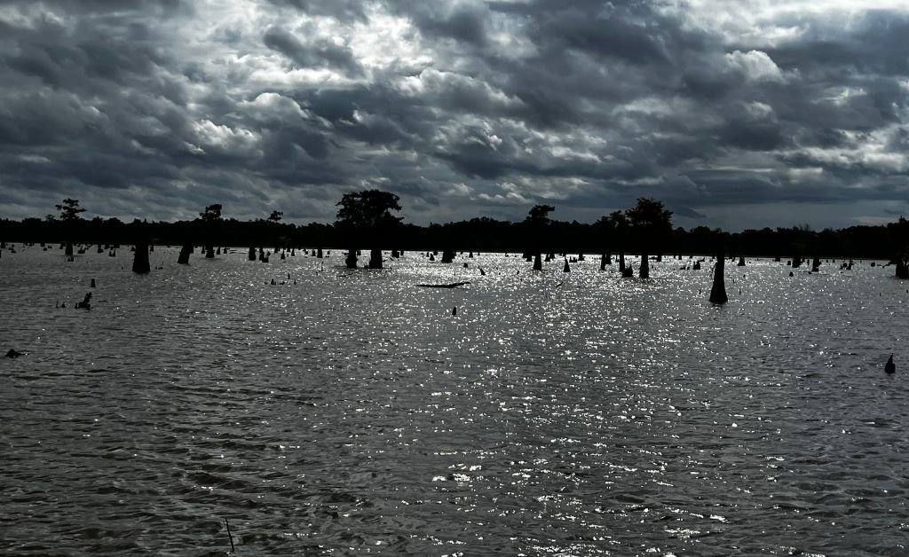 A wide view of the Atchafalaya Basin filled with glistening water and hundreds of cypress stumps, silhouetted under dark, swirling clouds with sparse living cypress trees in the distance.