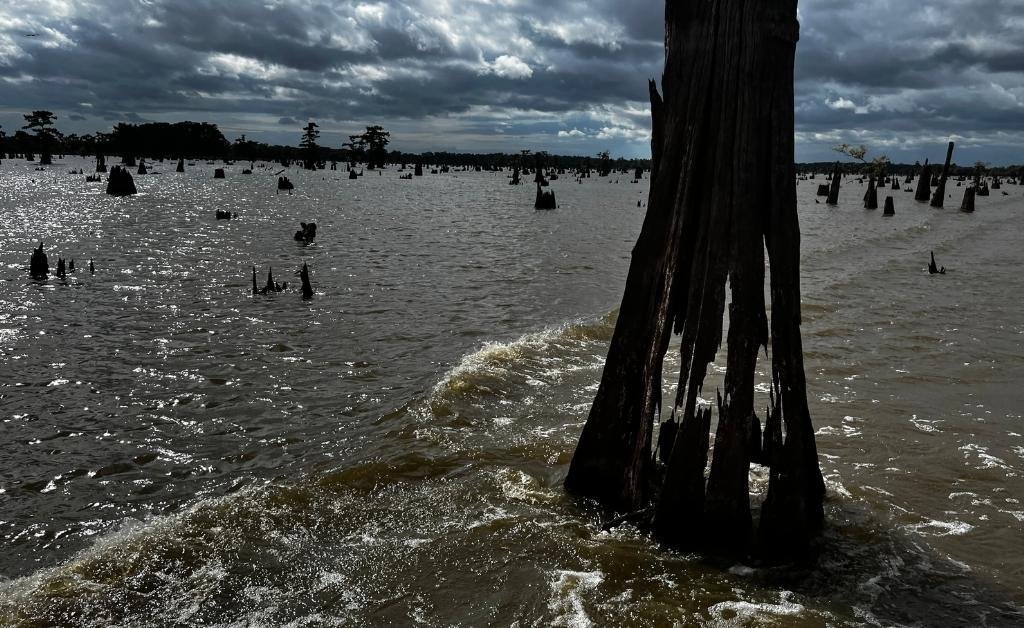 Dark, jagged cypress stumps scatter across a choppy section of the Atchafalaya Basin under stormy skies, with boat wake curling around a hollowed trunk in the foreground.