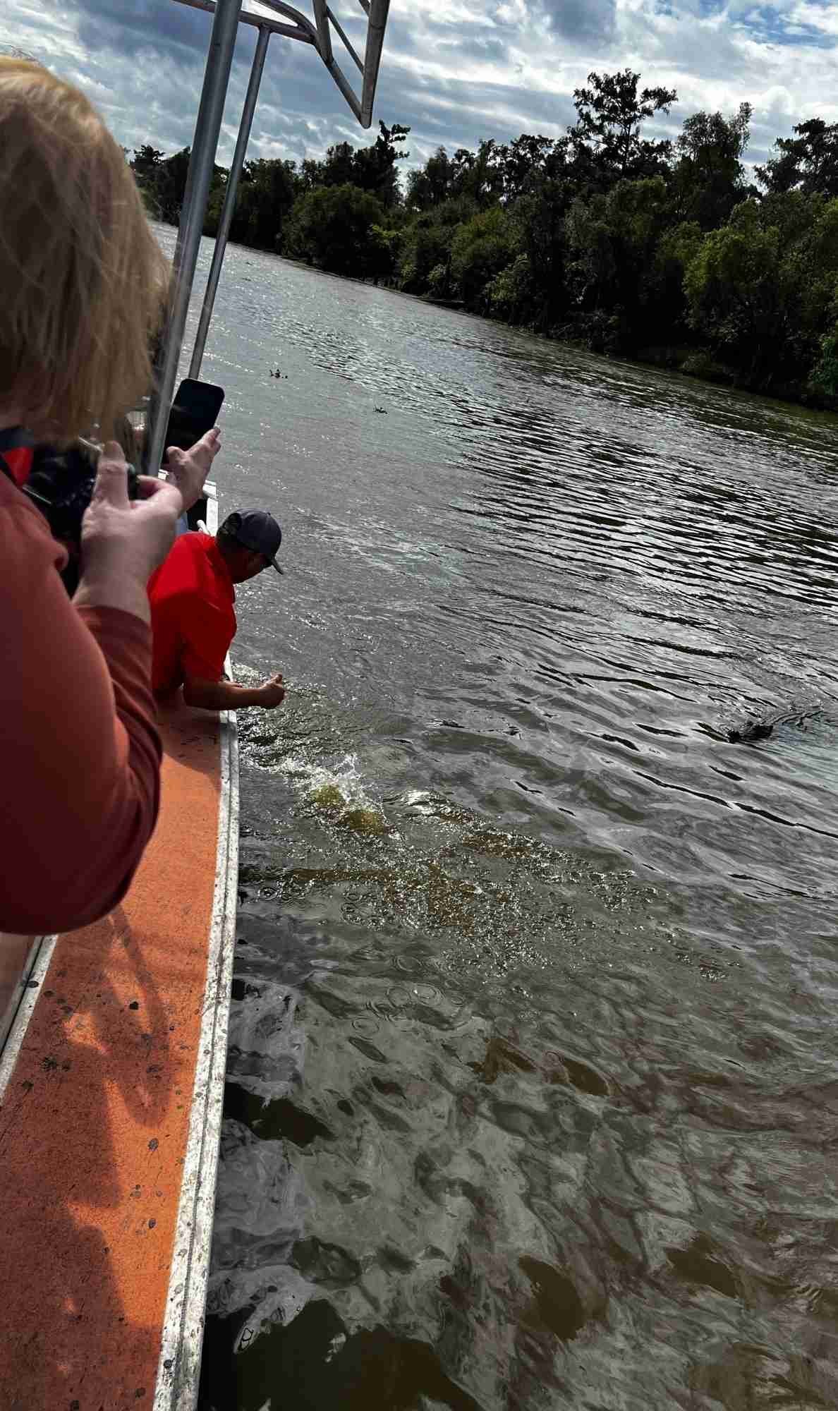 Captain Tucker leans over the side of the airboat to interact with an approaching alligator, while a guest captures the moment with a smartphone on a swamp tour in the Atchafalaya Basin.