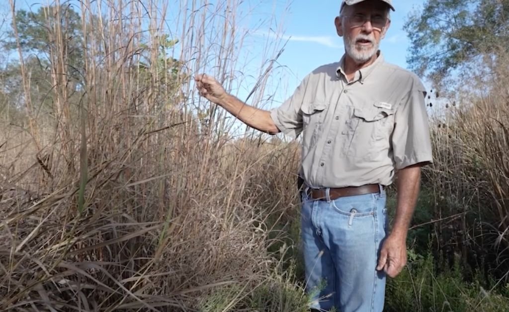 Larry Allain standing in the restored Cajun prairie, pointing out native grasses and plants at Cajun Prairie Farm in Arnaudville, Louisiana.