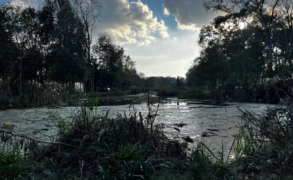 Pond on the grounds of Maison Stephanie surrounded by trees, grasses, and marsh vegetation under a cloudy sky.