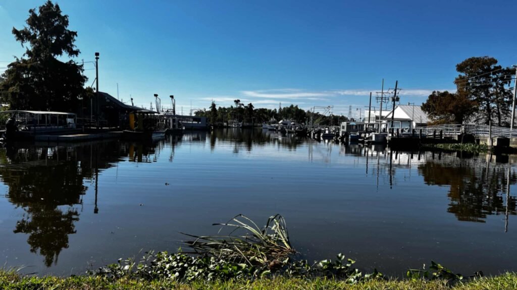 A serene view of a Louisiana waterway at the Westwego Shrimp Lot. Fishing boats are docked along the banks, reflecting in the calm water under a bright blue sky with cypress trees in the distance.
