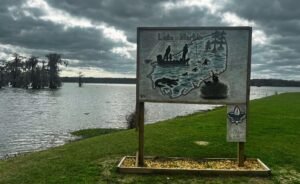 Wooden Lake Martin sign beside calm winter waters and cypress tupelo swamp shoreline in Cajun Country, Louisiana, destination for a scenic winter kayak pack and paddle adventure.