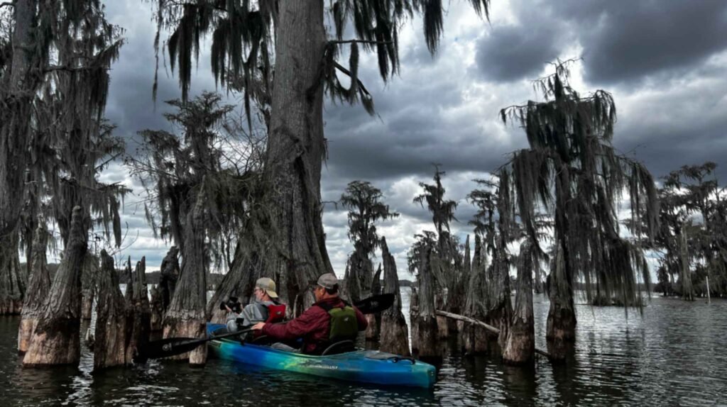 Two people in a blue and green tandem kayak navigate through a cluster of cypress knees and moss-draped trees on Lake Martin. One person holds a camera, ready to capture the scenery. Moody, dramatic grey clouds fill the sky above the expansive swamp landscape.