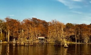 Golden hour view of the labyrinthine cypress swamp at Caddo Lake State Park, highlighting the unique Texas bayou scenery that defines the cross-border experience.