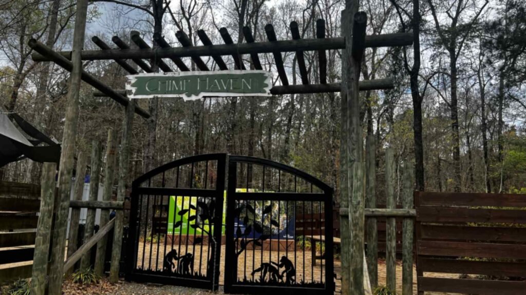 A rustic, dark-wood pergola entrance with a green and white sign that reads "CHIMP HAVEN" in serif lettering. Below the sign, an arched black iron gate features intricate cutouts of chimpanzees and trees in silhouette. The entrance is surrounded by a dense, natural forest with tall, leafless trees under an overcast sky.
