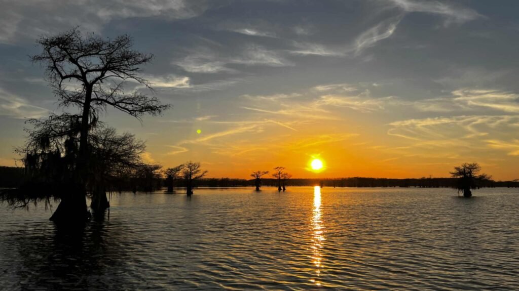 A breathtaking sunset over the calm waters of Caddo Lake. The bright yellow sun sits low on the horizon, casting a long, shimmering golden reflection across the rippling water. Silhouetted bald cypress trees stand scattered throughout the lake against a sky filled with wispy clouds tinged with orange and gray.