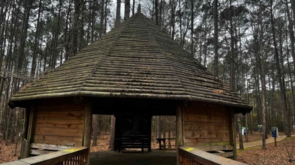 A rustic, wooden octagonal pavilion with a high, tiered log roof sits nestled among tall pine trees along a walking path at Chimp Haven in Louisiana.