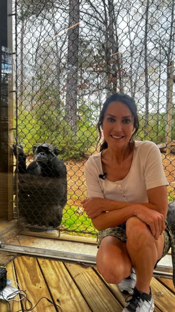 A woman in a white top smiles while kneeling on a wooden deck next to a glass observation window, where a chimpanzee is visible on the other side looking back at her within its Louisiana sanctuary habitat.