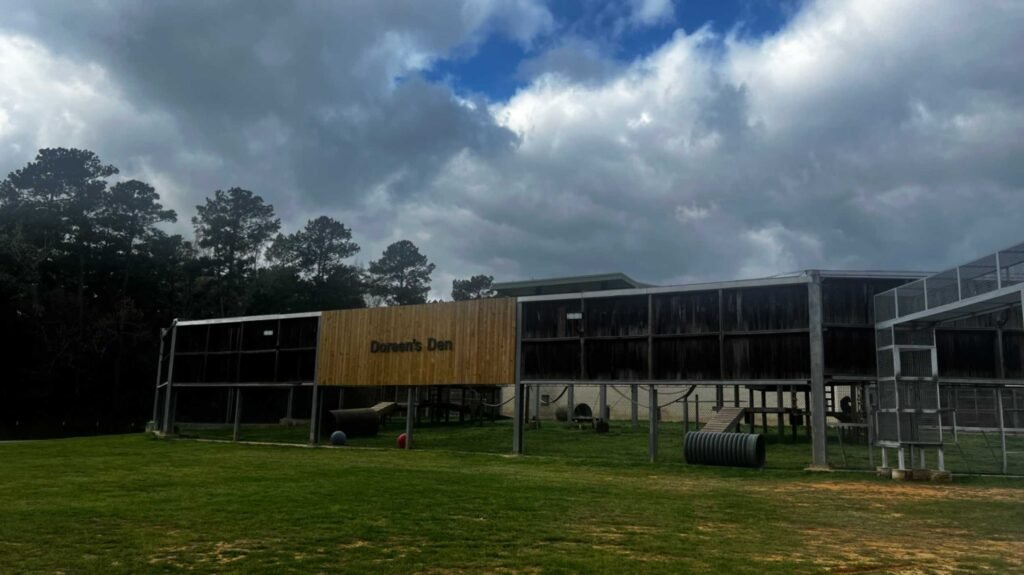 A wide view of a large, fenced-in outdoor chimpanzee habitat named "Doreen's Den," featuring wooden structures, climbing equipment, and a green lawn under a dramatic, cloudy Louisiana sky.